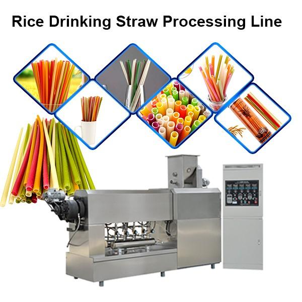 Jinan Sunward 100-150kg/H Edible Rice Making Drinking Straw Machine #1 image