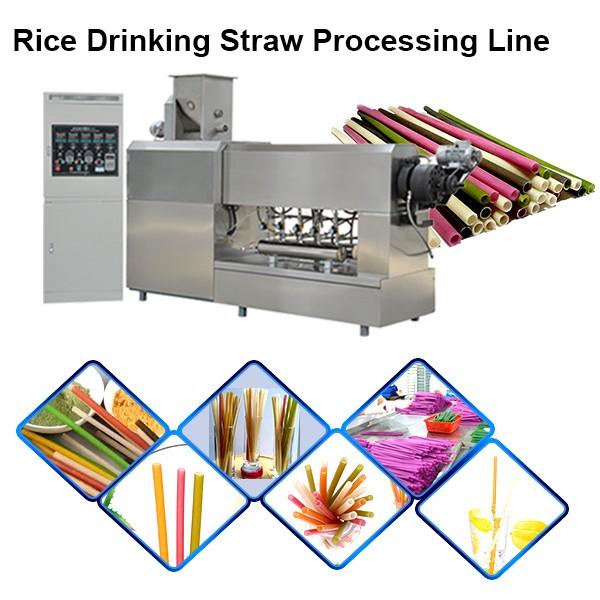 100-150kg/H Big Capacity Biodegradable Custom Rice Straw Making Machine #1 image