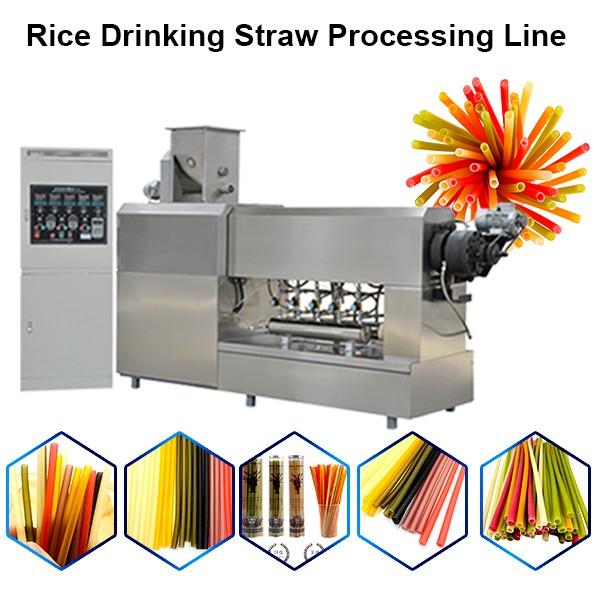 Biodegradable Drinking Straw Extruder #1 image