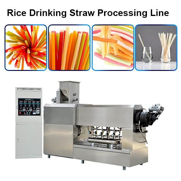 2019 Stainless Steel Factory Price Italy Noodles Making Machine / Pasta Straw Machine #1 image
