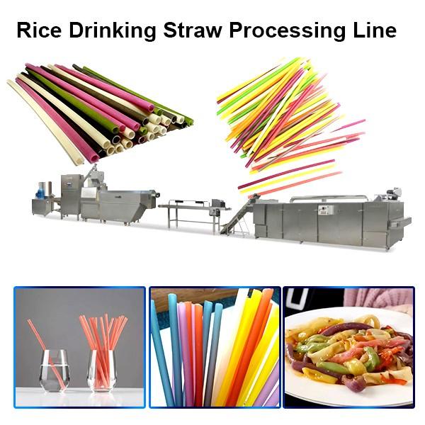 Edible Rice Straw Machine Extruder #1 image