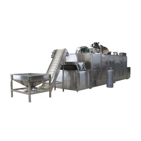 Large Industrial Stainless Steel Continuous Microwave Food Belt Conveyor Dryer #3 image