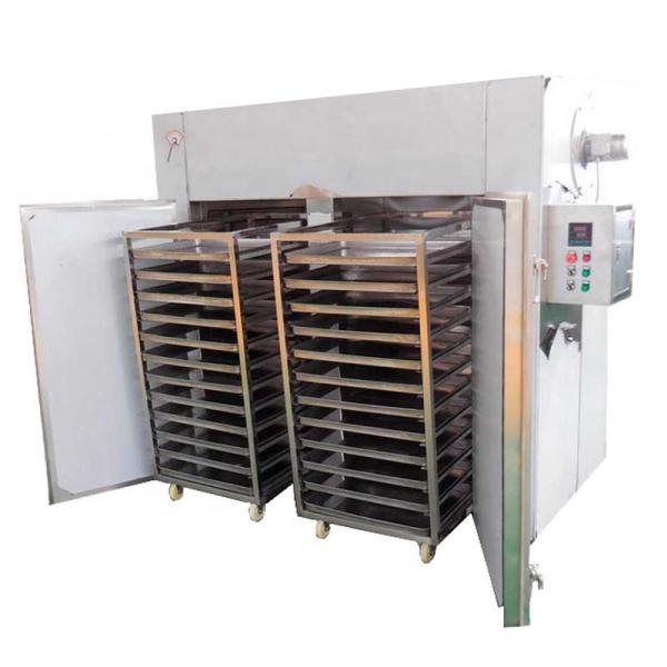 Continuous Dehydrated Vegetable Mesh Belt Dryer Machine #1 image