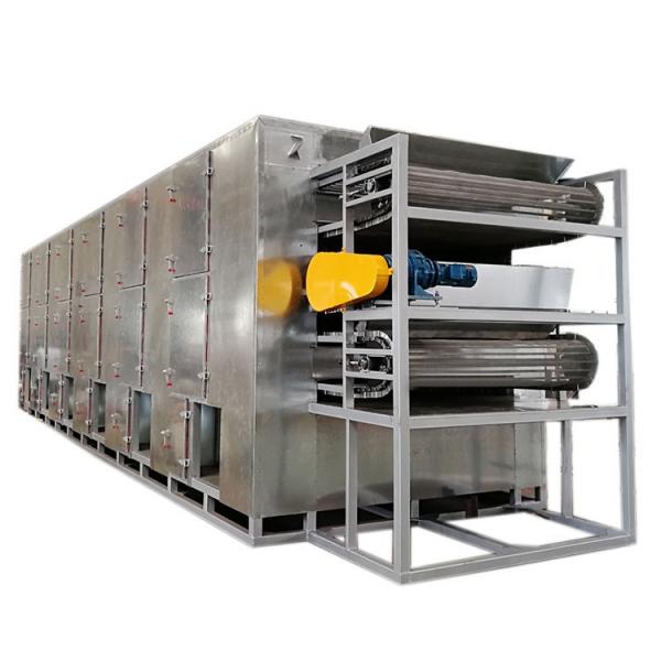 Continuous Dehydrated Vegetable Mesh Belt Dryer Machine #3 image
