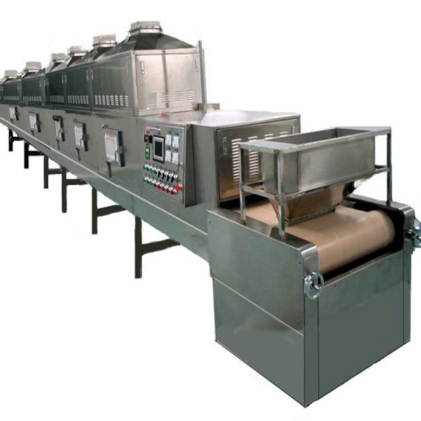 Large Industrial Stainless Steel Continuous Microwave Food Belt Conveyor Dryer #2 image