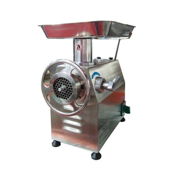 Electric Industrial Stainless Steel Sanitary Fish Meat Grinder for Home Use #1 image