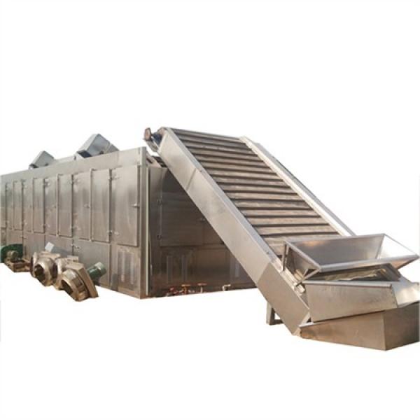 Continuous Seaweed Hemp Conveyor Belt Dryer #1 image