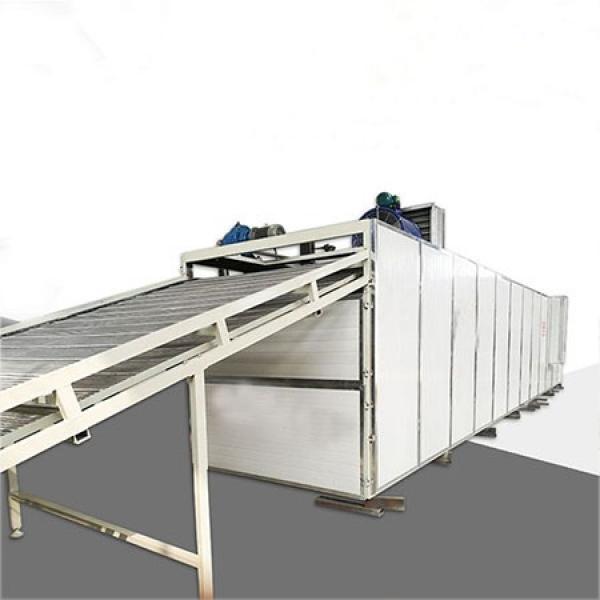 Continuous Food Dryer with Steam Heating #1 image