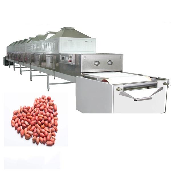 Stainless Steel Industrial Tunnel Microwave Heating Food Vegetable Drying Equipment #1 image