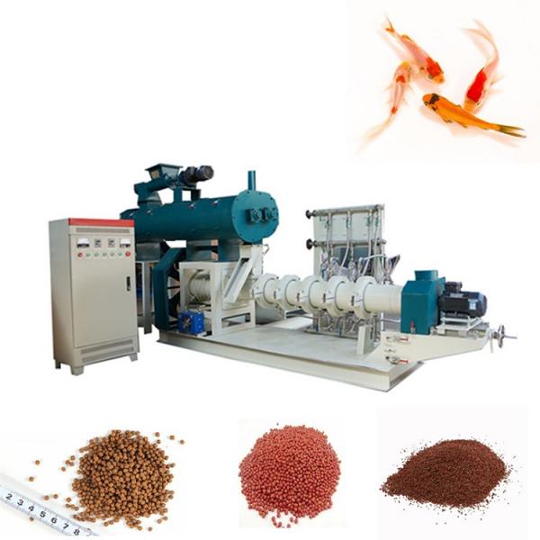 Catfish Tilapia Trout Fish Feed Production Equipment #1 image