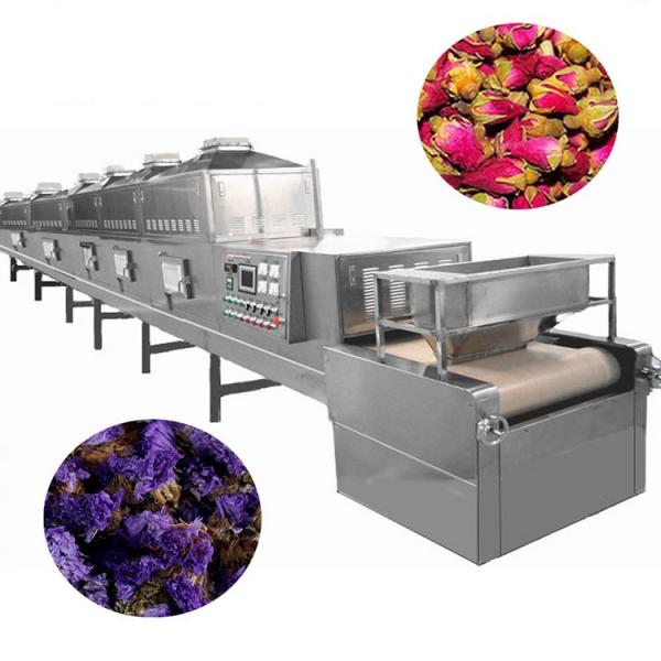 Herb Extraction Spray Drying Equipment #1 image